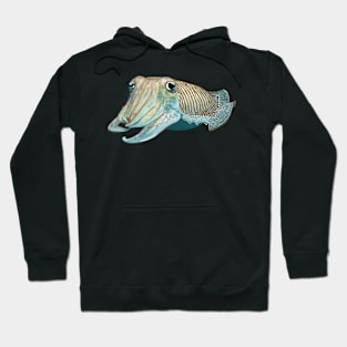 Cuttlefish 3 Hoodie